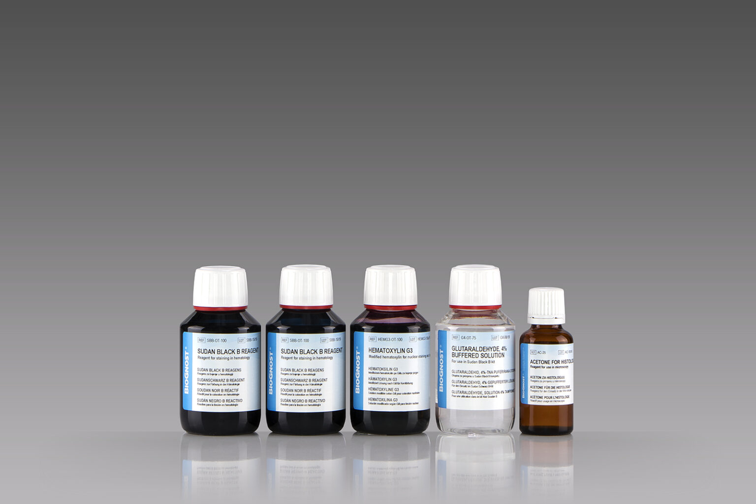 Sudan Black B kit Biognost