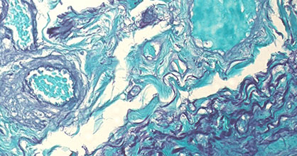 Histology and cytology